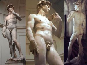 Michelangelo-David penis mic