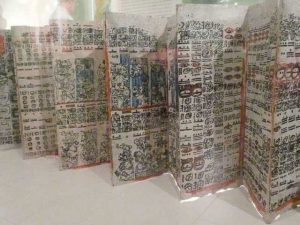 codexul-dresda-5